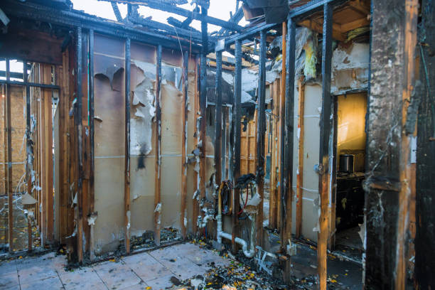 Professional Fire Damage Removal technician working in Milan, NM